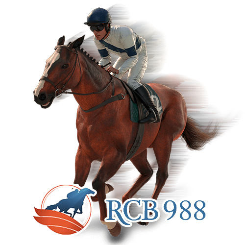 Games 24 RCB988
