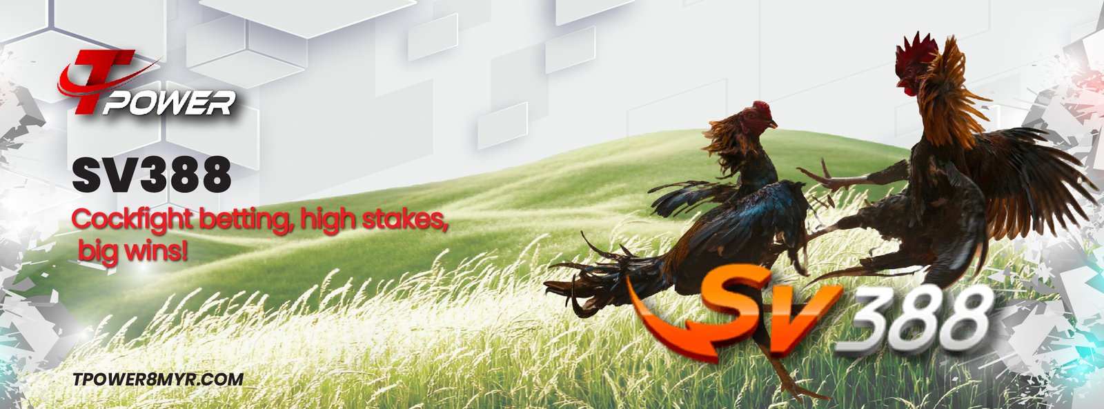 SV388 1 SV388